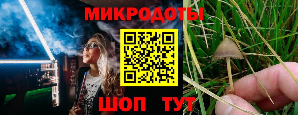 Галлюциногенные грибы прущие грибы Сатка